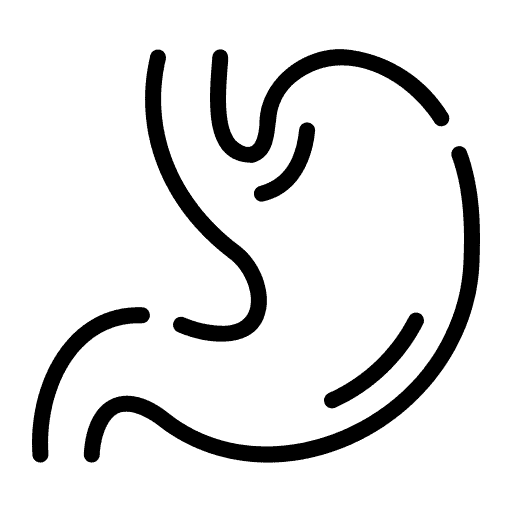 stomach_9376012