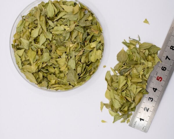 whole leaf buchu 5-4
