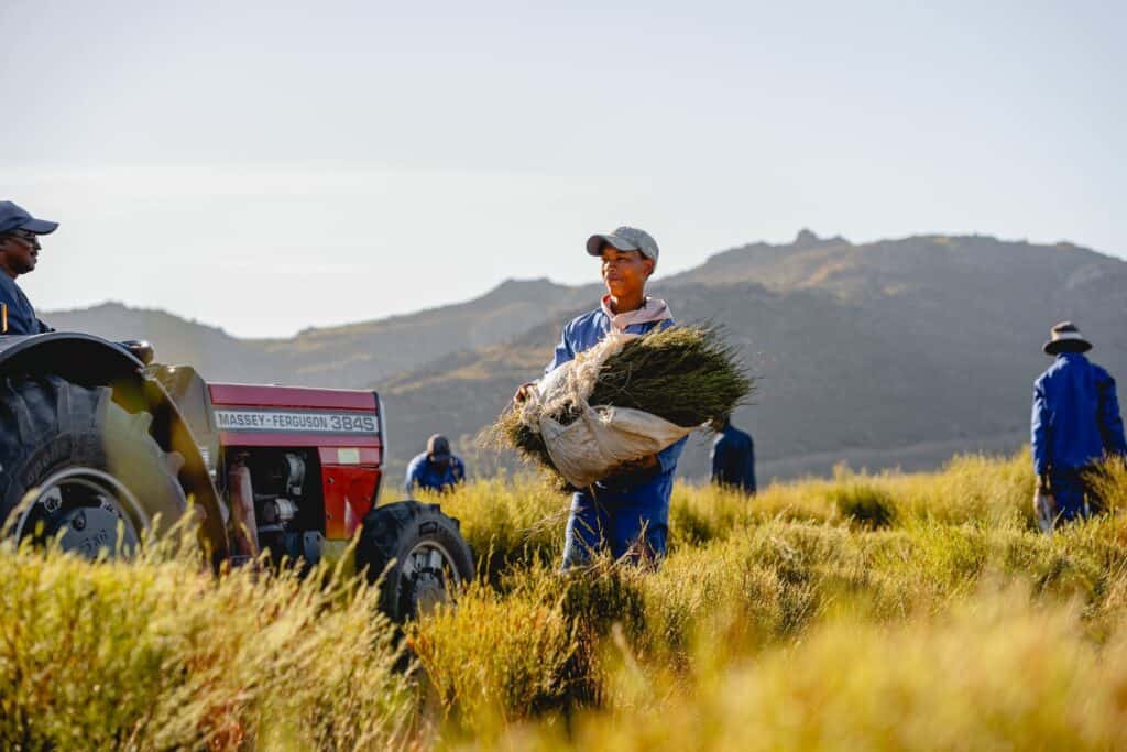 Carmien Blog Banner Corporate Social Responsibility