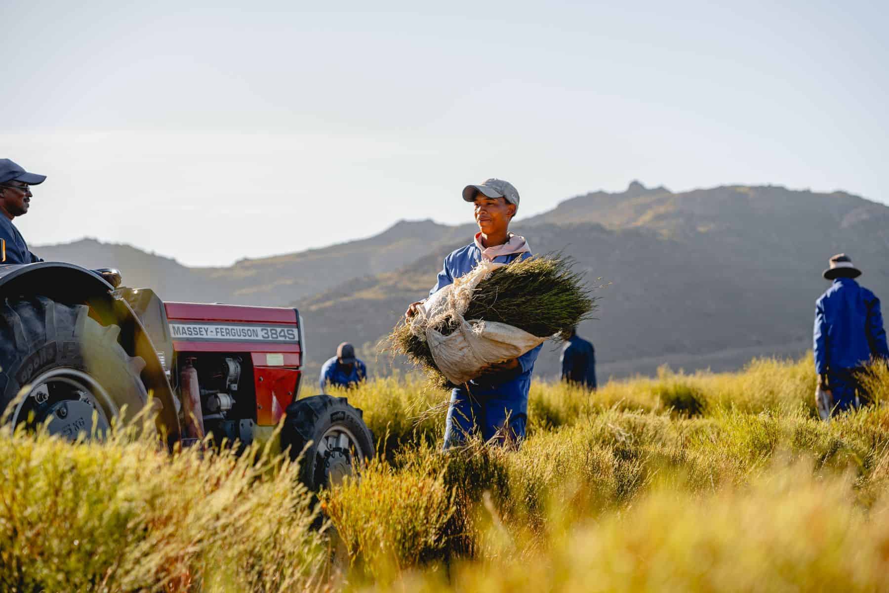 Carmien Blog Banner Corporate Social Responsibility