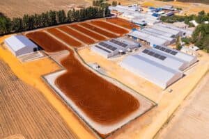 Sustainability at Carmien Tea