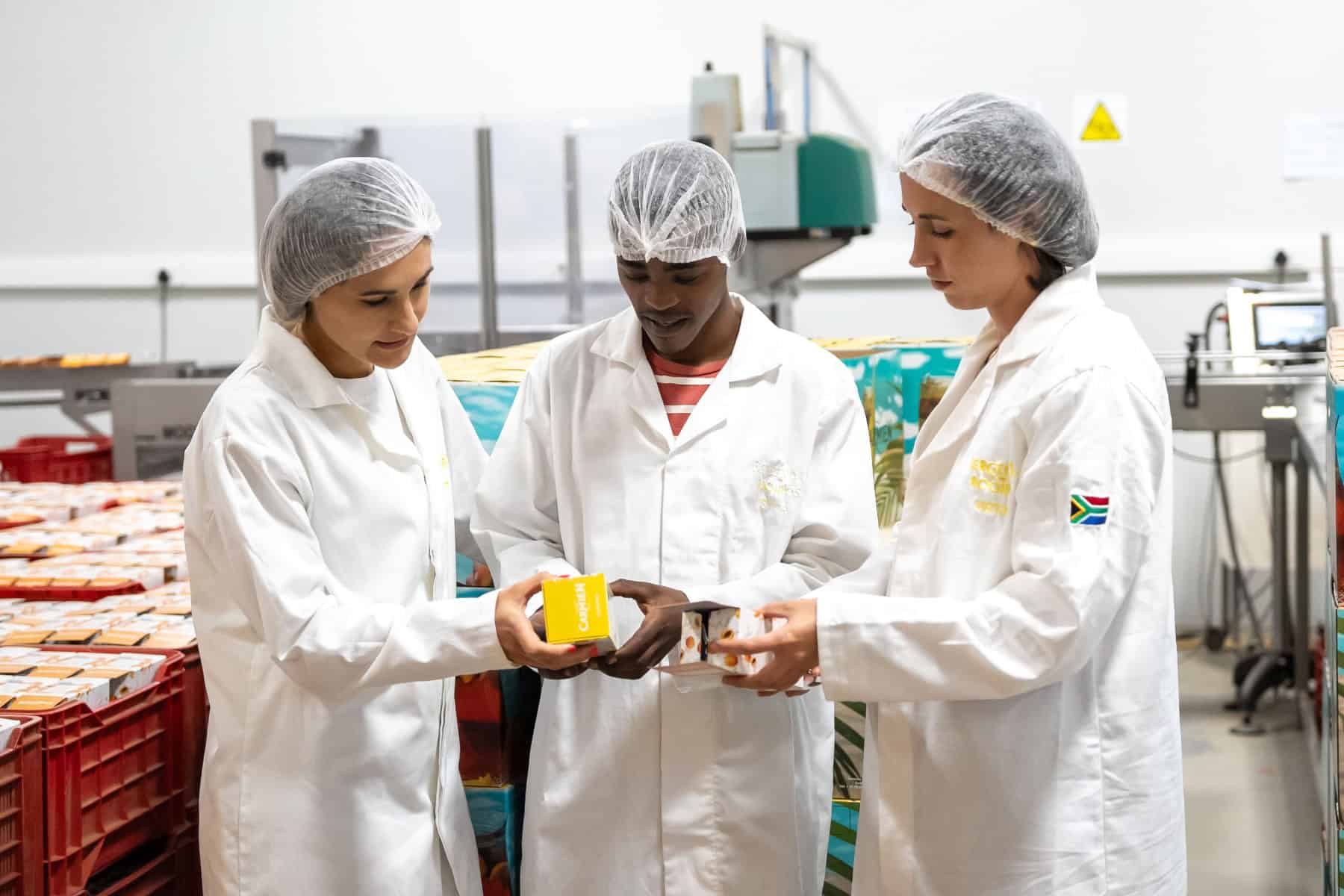 Carmien Tea Innovation Partner for new opportunities with rooibos tea