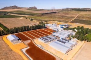 carmien rooibos farm and packing facility