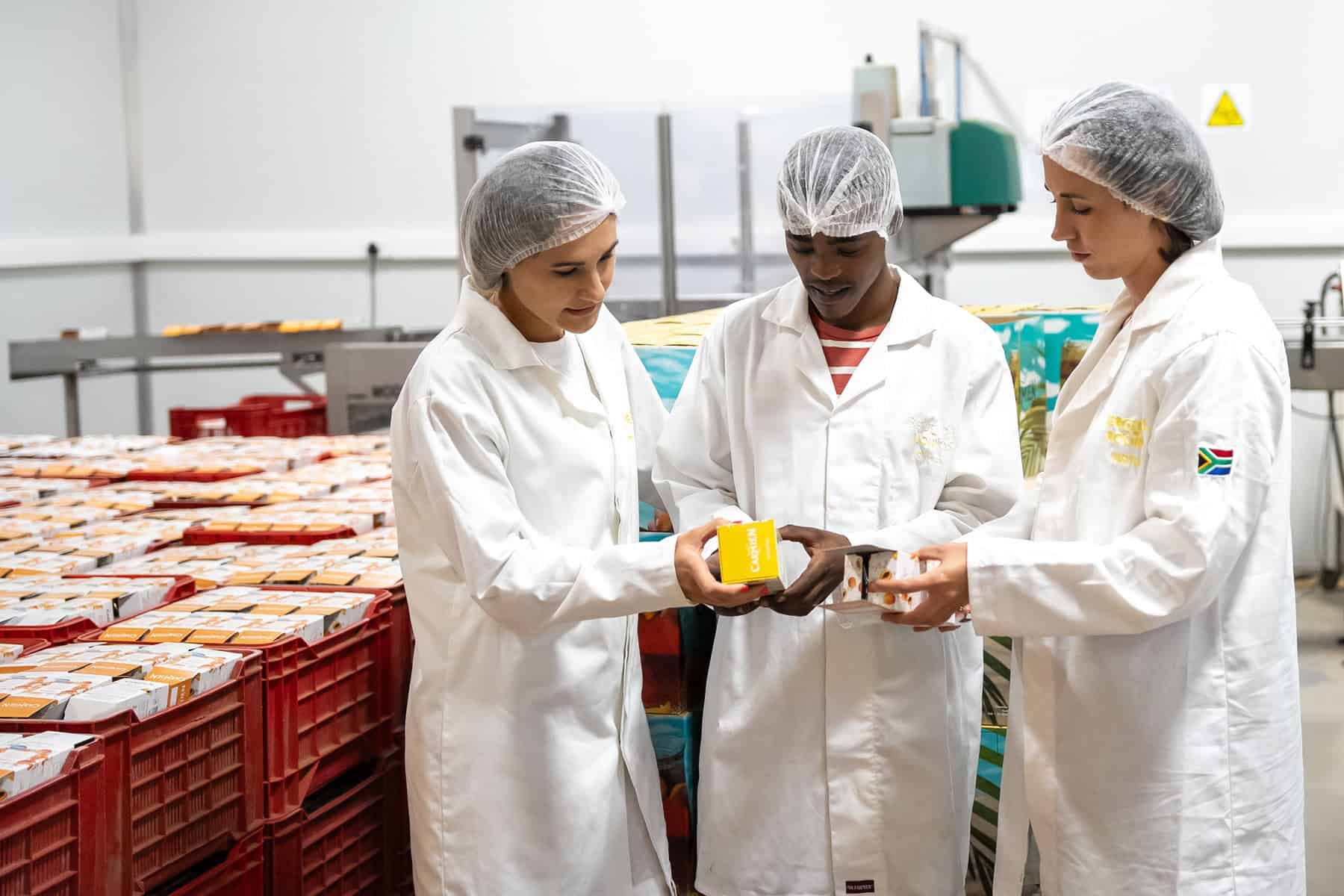 production managers check the quality of the latest batch of rooibos