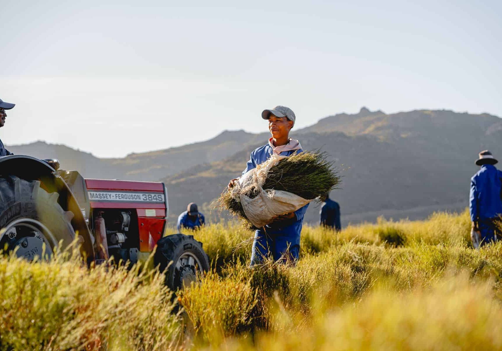 Carmien Blog Banner Corporate Social Responsibility