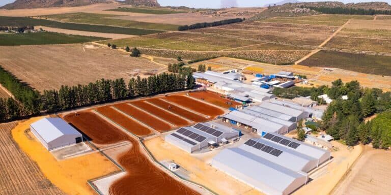 carmien rooibos farm and packing facility